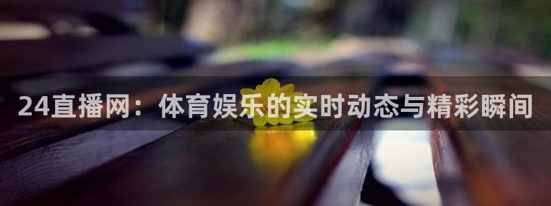 24直播网：体育娱乐的实时动态与精彩瞬间