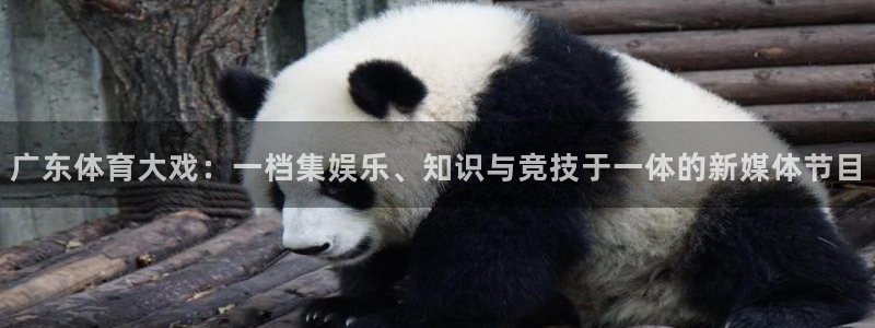 广东体育大戏：一档集娱乐、知识与竞技于一体的新媒体节目