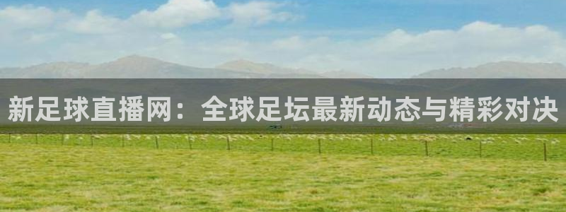 新足球直播网：全球足坛最新动态与精彩对决