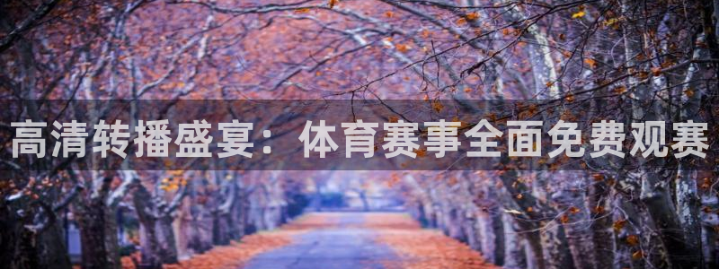 高清转播盛宴：体育赛事全面免费观赛