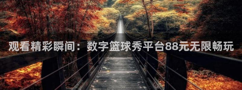 观看精彩瞬间：数字篮球秀平台88元无限畅玩